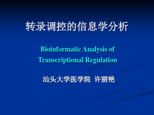 6-生物信息学-转录调控分析