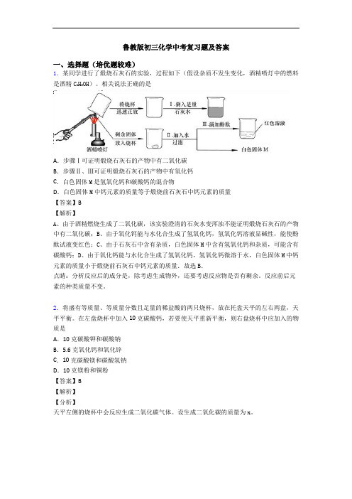 鲁教版初三化学中考复习题及答案