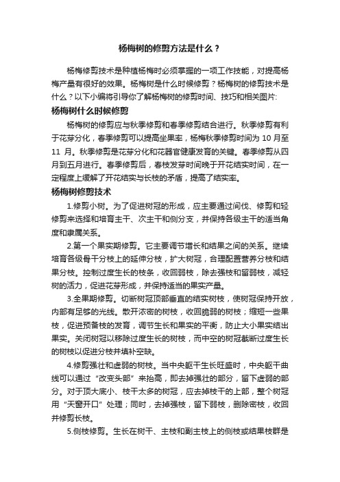 杨梅树的修剪方法是什么？