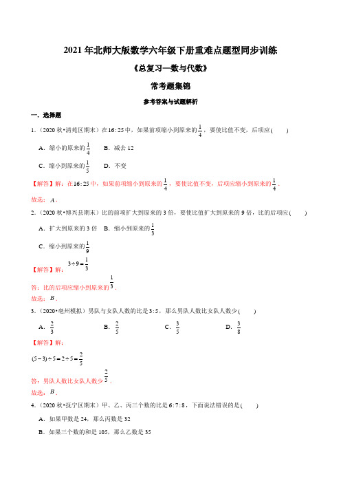 2021年北师大版数学六年级下册重难点题型训练《总复习—数与代数》常考题集锦(解析版)