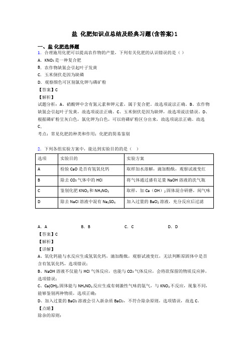 盐 化肥知识点总结及经典习题(含答案)1