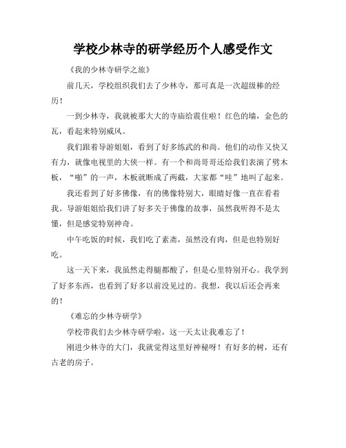 学校少林寺的研学经历个人感受作文