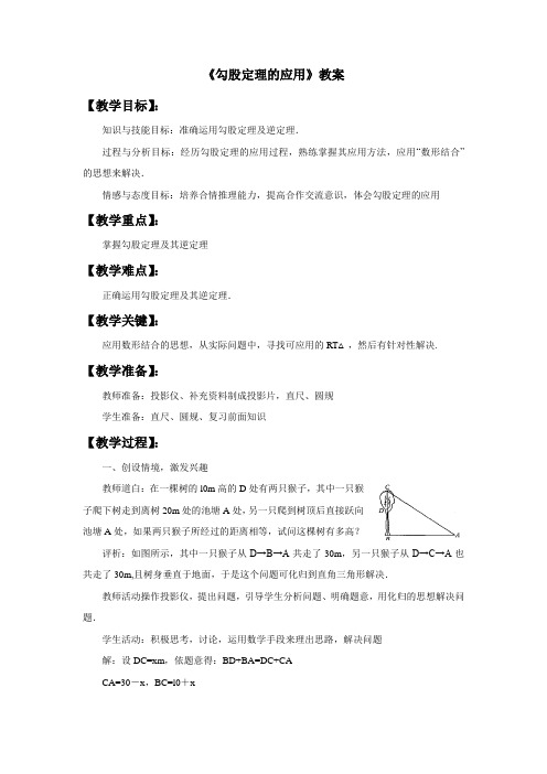 鲁教版七年级数学上册《勾股定理的应用》教案