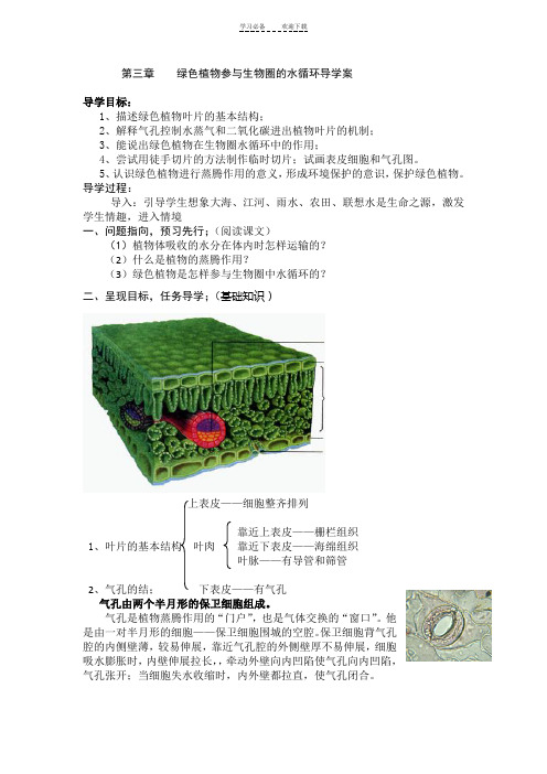 第三节绿色植物与生物圈的水循环导学案