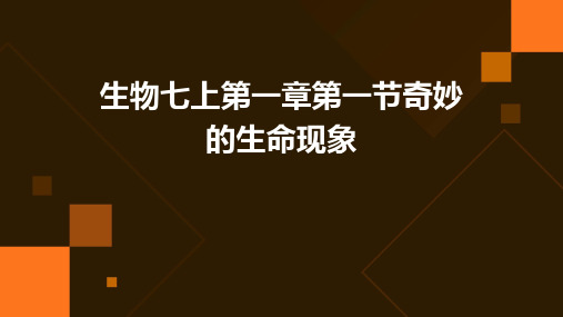 生物七上第一章第一节奇妙的生命现象