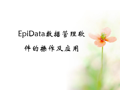 数据录入软件——epida 