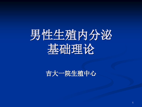 男性生殖内分泌基础ppt课件