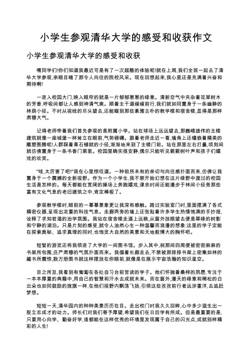 小学生参观清华大学的感受和收获作文