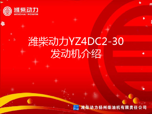 扬柴YZ4DC2-30结构特点介绍