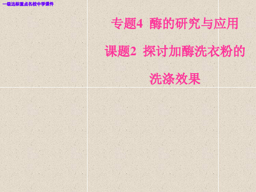 高三生物专题4酶的研究与应用课题2探讨加酶洗衣粉的洗涤效果课件