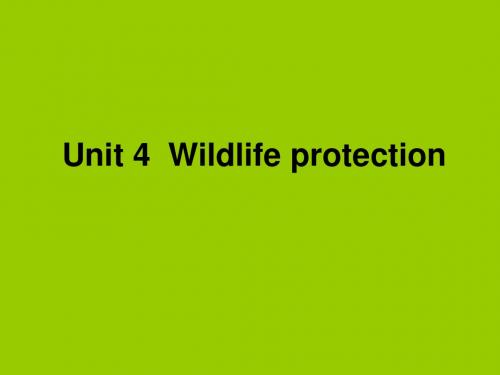 2019年人教版高中英语 必修二 Unit4 《Wildlife protection Warming up 》 课件 共23张PPT语文