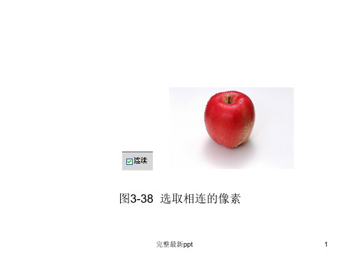 Photoshop-CS5基础教程第3章(2)ppt课件