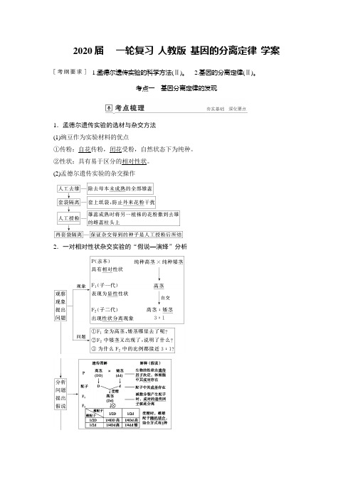 2020届   一轮复习 人教版 基因的分离定律   学案.doc