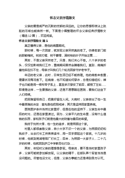 怀念父亲经典抒情散文（精选12篇）