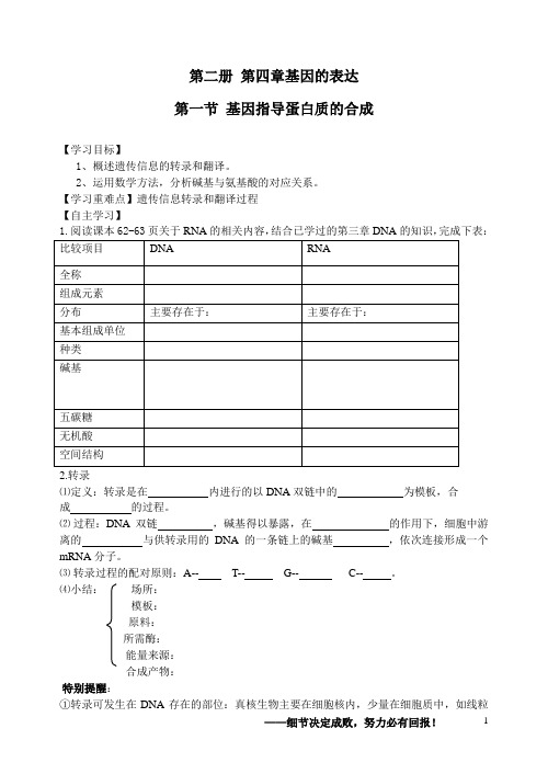 第二册第四章第一节基因指导蛋白质合成