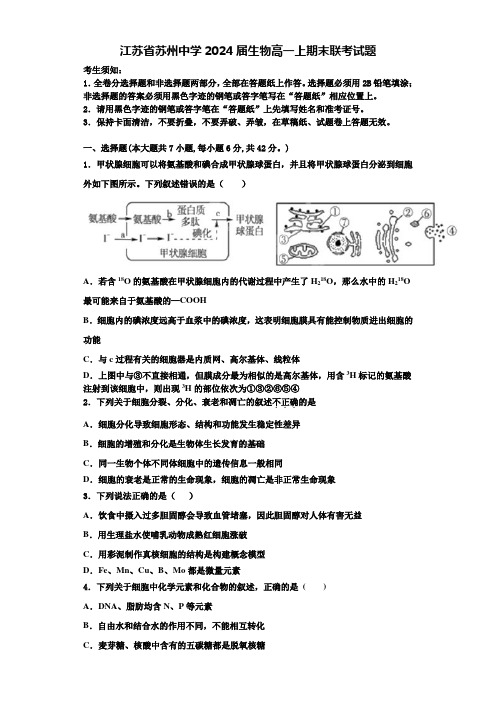 江苏省苏州中学2024届生物高一上期末联考试题含解析