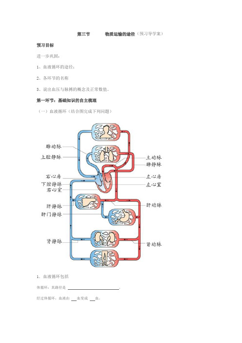 第三节       物质运输的途径导学案