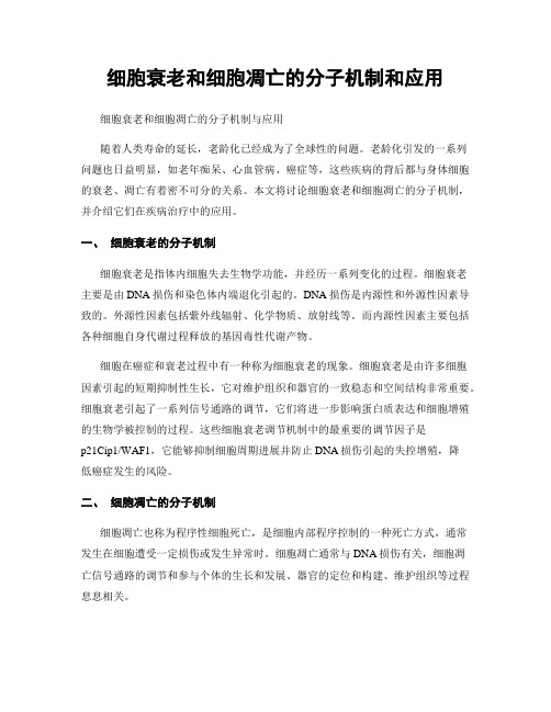 细胞衰老和细胞凋亡的分子机制和应用