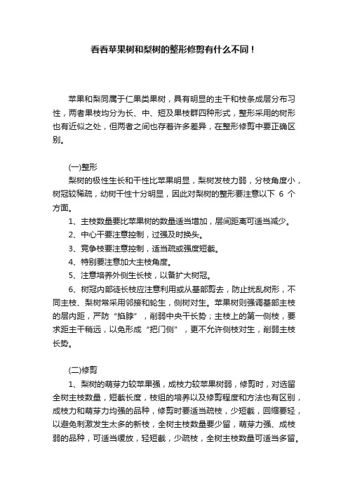 看看苹果树和梨树的整形修剪有什么不同！