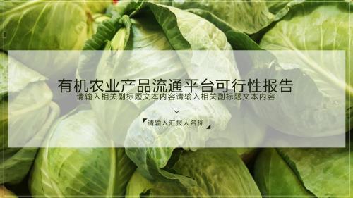 精品PPT模版 (46)