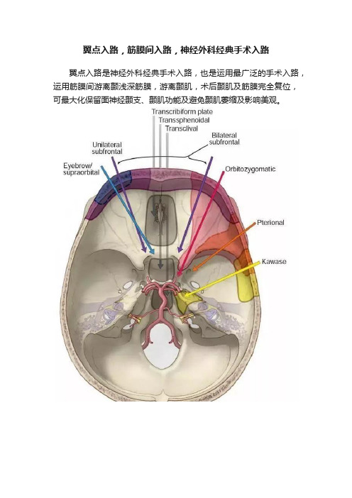 翼点入路，筋膜间入路，神经外科经典手术入路