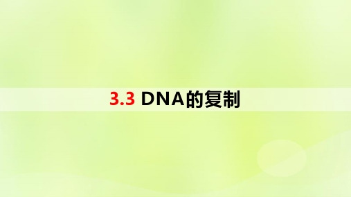 新教材同步备课2024春高中生物第3章基因的本质3.3DNA的复制课件新人教版必修2