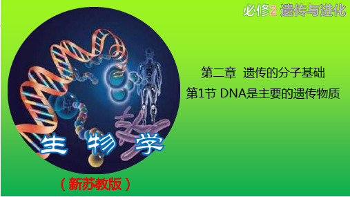 DNA是主要的遗传物质(课件)高一生物(苏教版2019必修2)