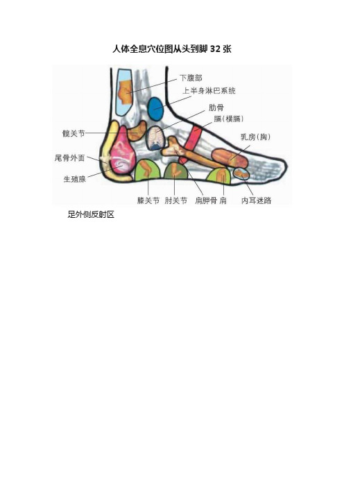 人体全息穴位图从头到脚32张