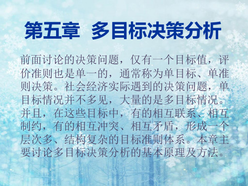 5多目标决策分析