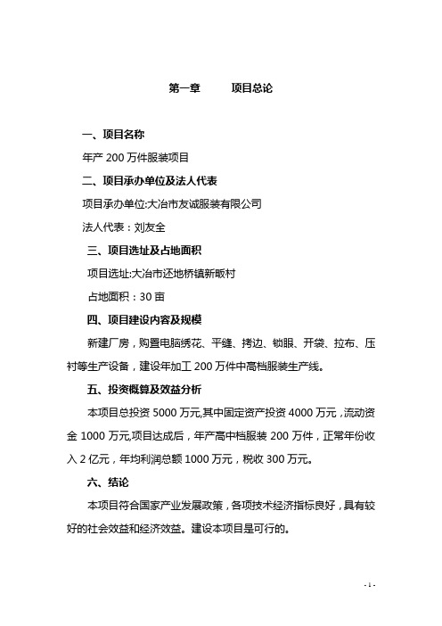 制衣项目可行性研究报告