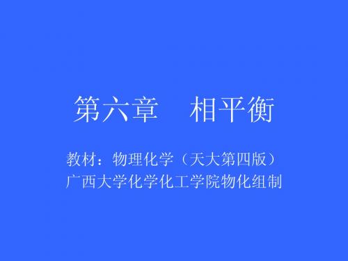 物理化学第六章