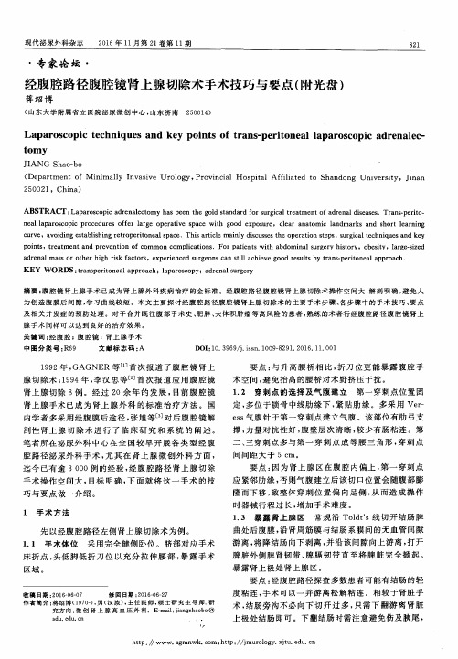 经腹腔路径腹腔镜肾上腺切除术手术技巧与要点(附光盘)