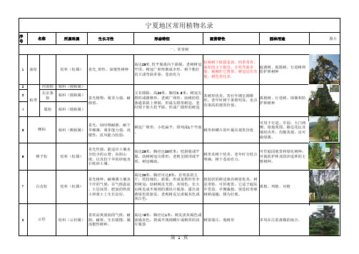宁夏地区常用乔木植物汇总