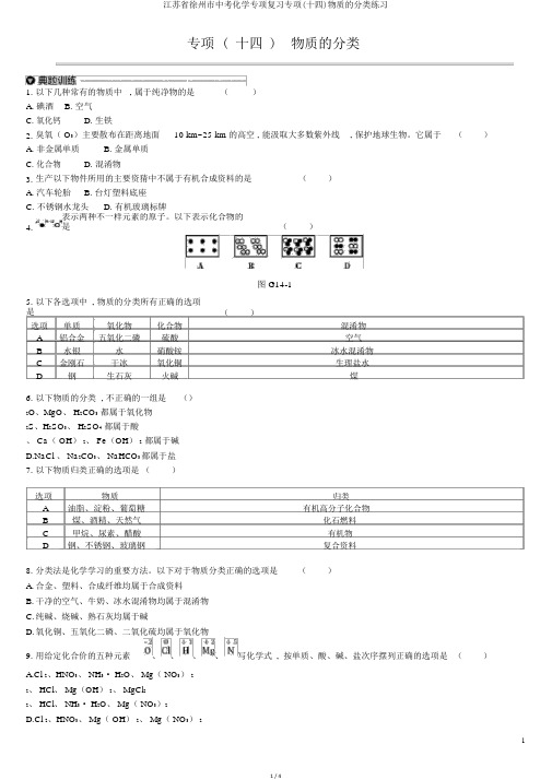 江苏省徐州市中考化学专项复习专项(十四)物质的分类练习