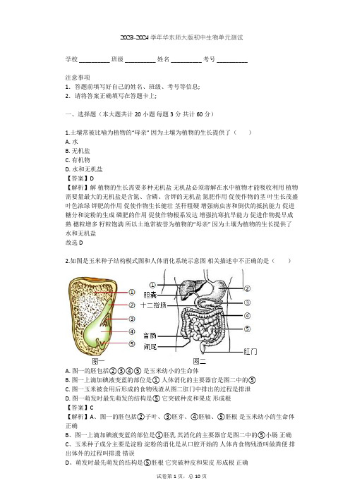 2023-2024学年初中生物华东师大版八年级上第四章 植物的物质和能量的转化单元测试(含答案解析)