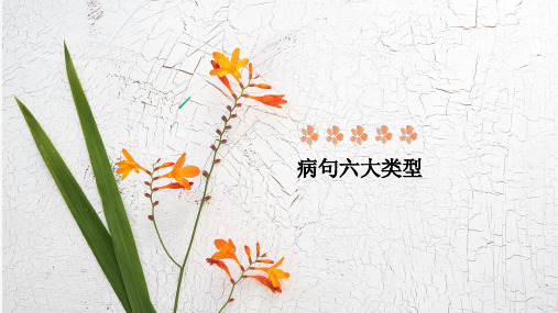 高考语文病句专题 教学PPT课件