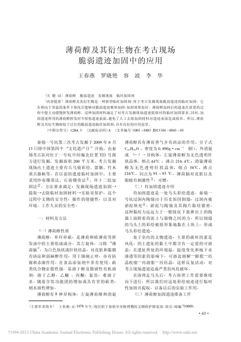 薄荷醇及其衍生物在考古现场 脆弱遗迹加固中的应用