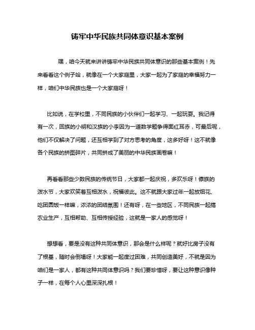 铸牢中华民族共同体意识基本案例