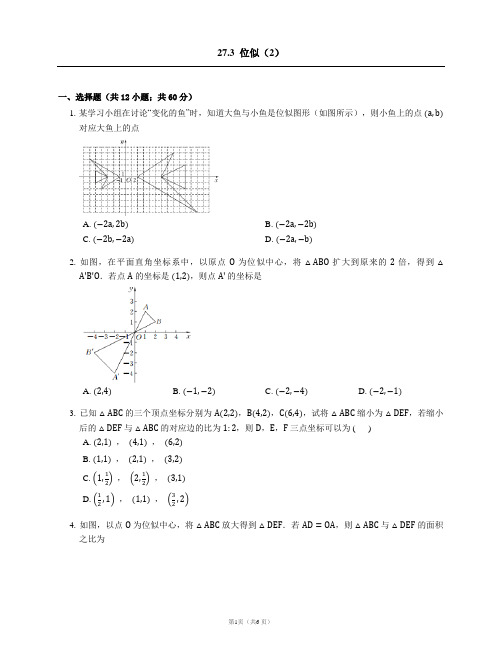 位似练习题