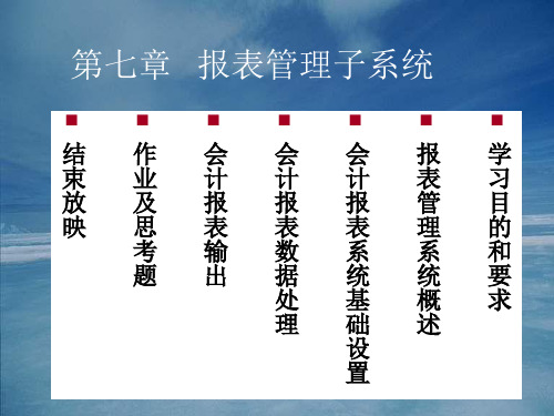 《报表管理系统概述》PPT幻灯片