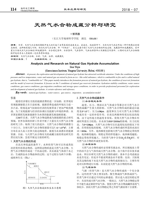 天然气水合物成藏分析与研究