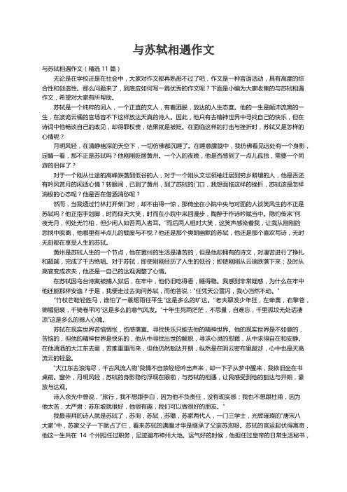 与苏轼相遇作文（精选11篇）