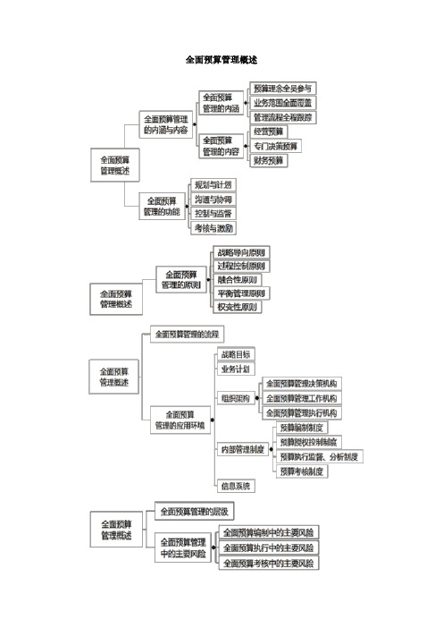 高级会计实务全面预算管理概述