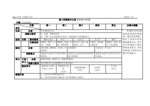 幼儿园一周活动第19周