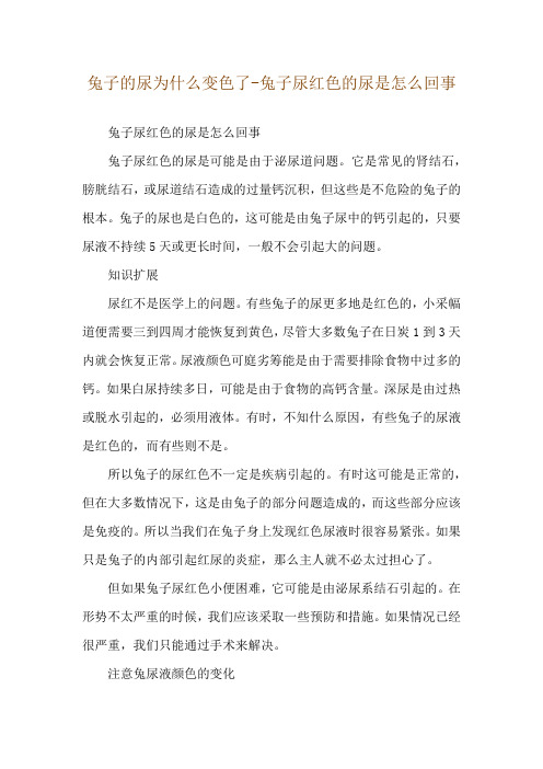 兔子的尿为什么变色了-兔子尿红色的尿是怎么回事