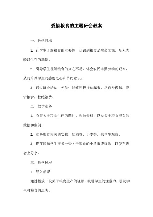 爱惜粮食的主题班会教案