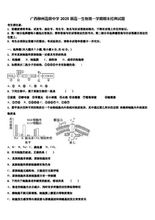 广西柳州高级中学2025届高一生物第一学期期末经典试题含解析