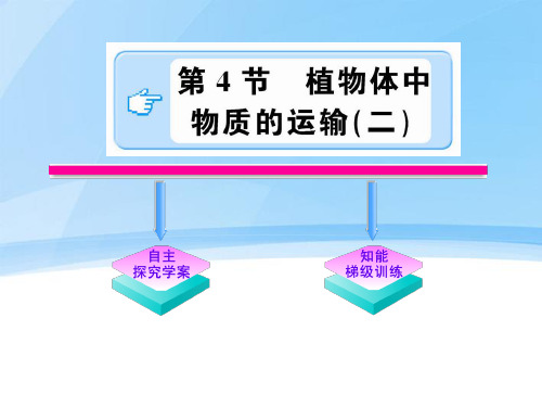 八年级科学下册 3.4.2《植物体中物质的运输》课件 浙教版