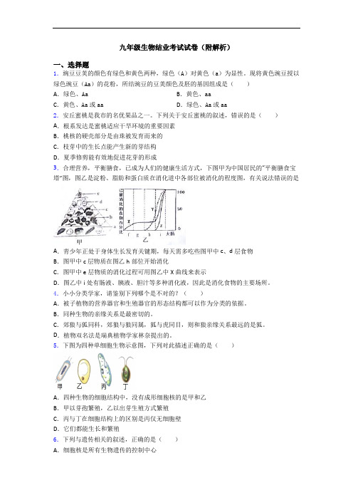 九年级生物结业考试试卷(附解析)