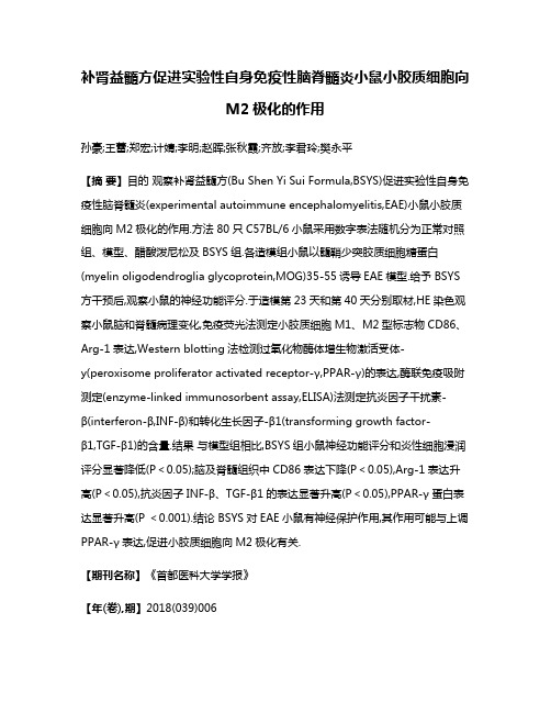 补肾益髓方促进实验性自身免疫性脑脊髓炎小鼠小胶质细胞向M2极化的作用